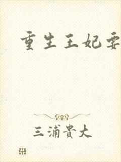 重生王妃要和离