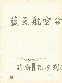蓝天航空公司