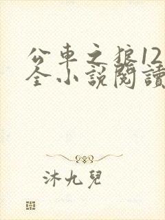公车之狼12集全小说阅读