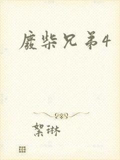 废柴兄弟4封面