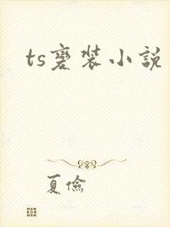 ts变装小说