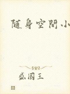 随身空间小说封面
