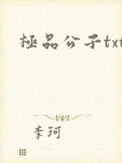 极品公子txt