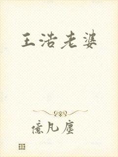王浩老婆封面
