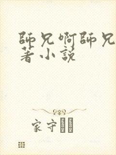 师兄啊师兄的原著小说封面