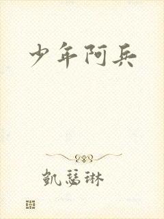 少年阿兵封面