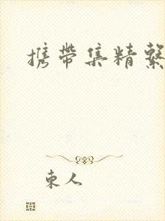 携带集精系统