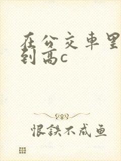 在公交车里c弄到高c