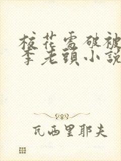 校花处破被灌满李老头小说