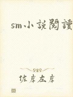 sm小说阅读封面