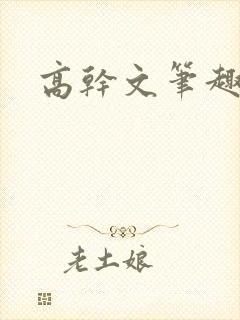 高干文笔趣阁封面