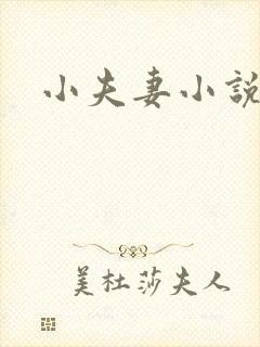 小夫妻小说