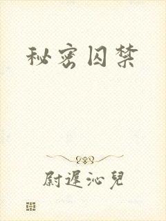 秘密囚禁封面
