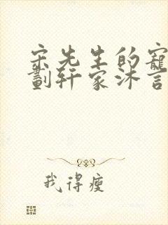 宋先生的宠妻计划轩家沐言封面