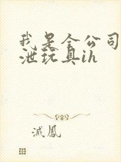 我是全公司的发泄玩具ih