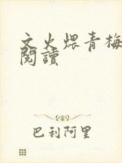 文火煨青梅免费阅读封面