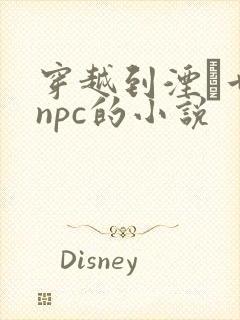 穿越到湮婸世界npc的小说