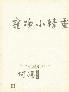 宠物小精灵漫画封面