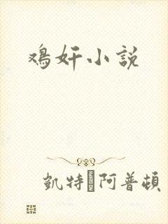 鸡奸小说封面