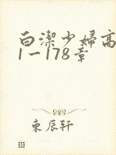 白洁少妇高义第1一178章