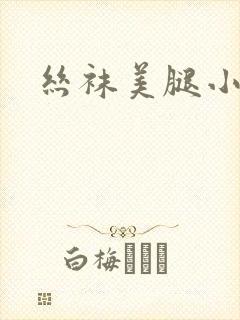 丝袜美腿小说