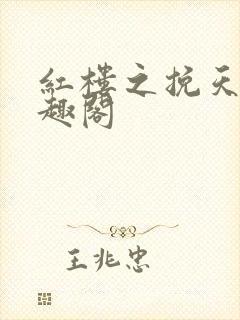 红楼之挽天倾笔趣阁
