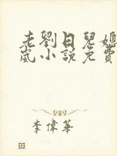 老刘日儿媳妇张岚小说免费阅读