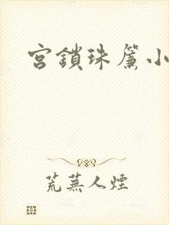宫锁珠帘小说