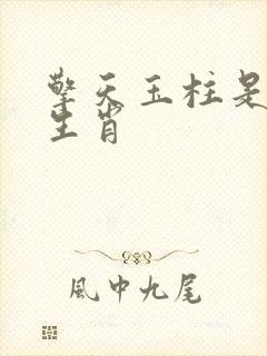 擎天玉柱是什么生肖