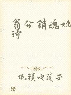 翁公销魂姚瑶琦琦