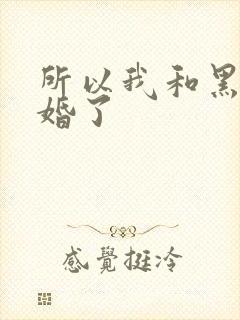 所以我和黑粉结婚了封面