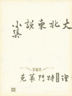 小说东北大炕全集