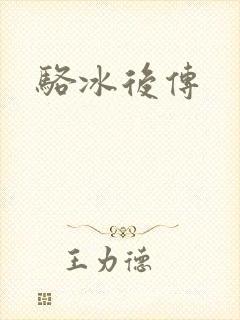 骆冰后传封面