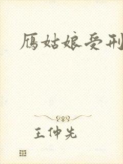 雁姑娘受刑记封面