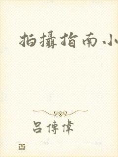 拍摄指南小说