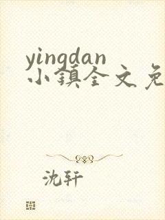 yingdan小镇全文免费阅读笔趣阁封面