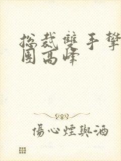 总裁双手攀上两团高峰封面