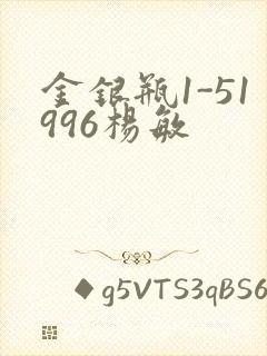 金银瓶1-51996杨敏