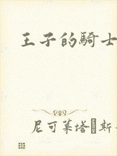 王子的骑士
