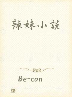 辣妹小说