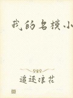 我的名模小娇妻封面