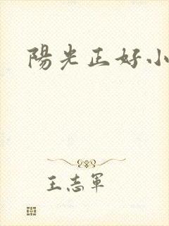 阳光正好小说