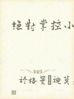 绝对掌控小说