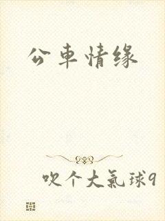 公车情缘