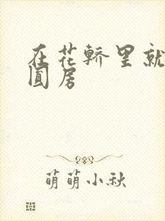 在花轿里就开始圆房