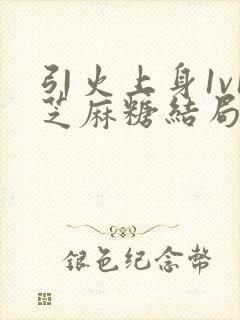 引火上身1v1芝麻糖结局封面