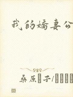 我的娇妻公务员