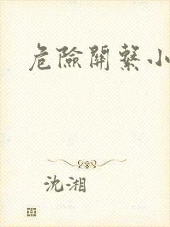 危险关系小说封面