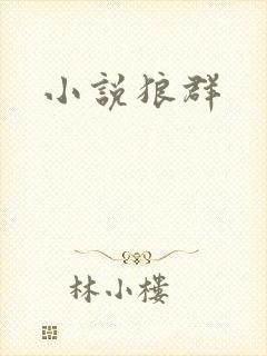 小说狼群封面