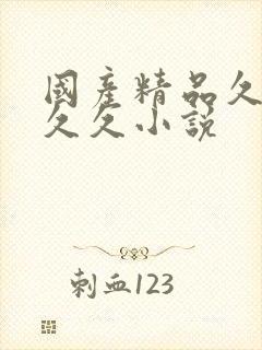 国产精品久久久久久小说